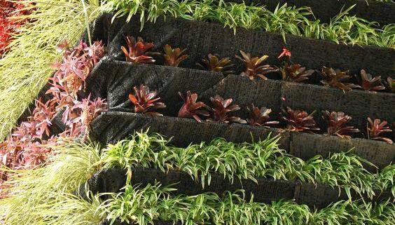 Ventajas de Los Muros Verdes Artificiales Frente a Muros Verdes Naturales